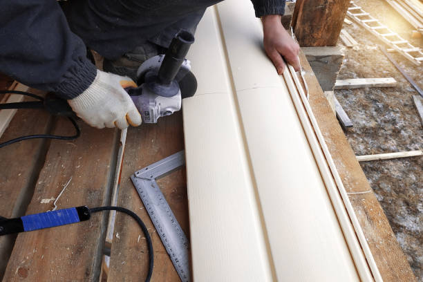 Best Vinyl Siding Installation  in North Sioux City, SD